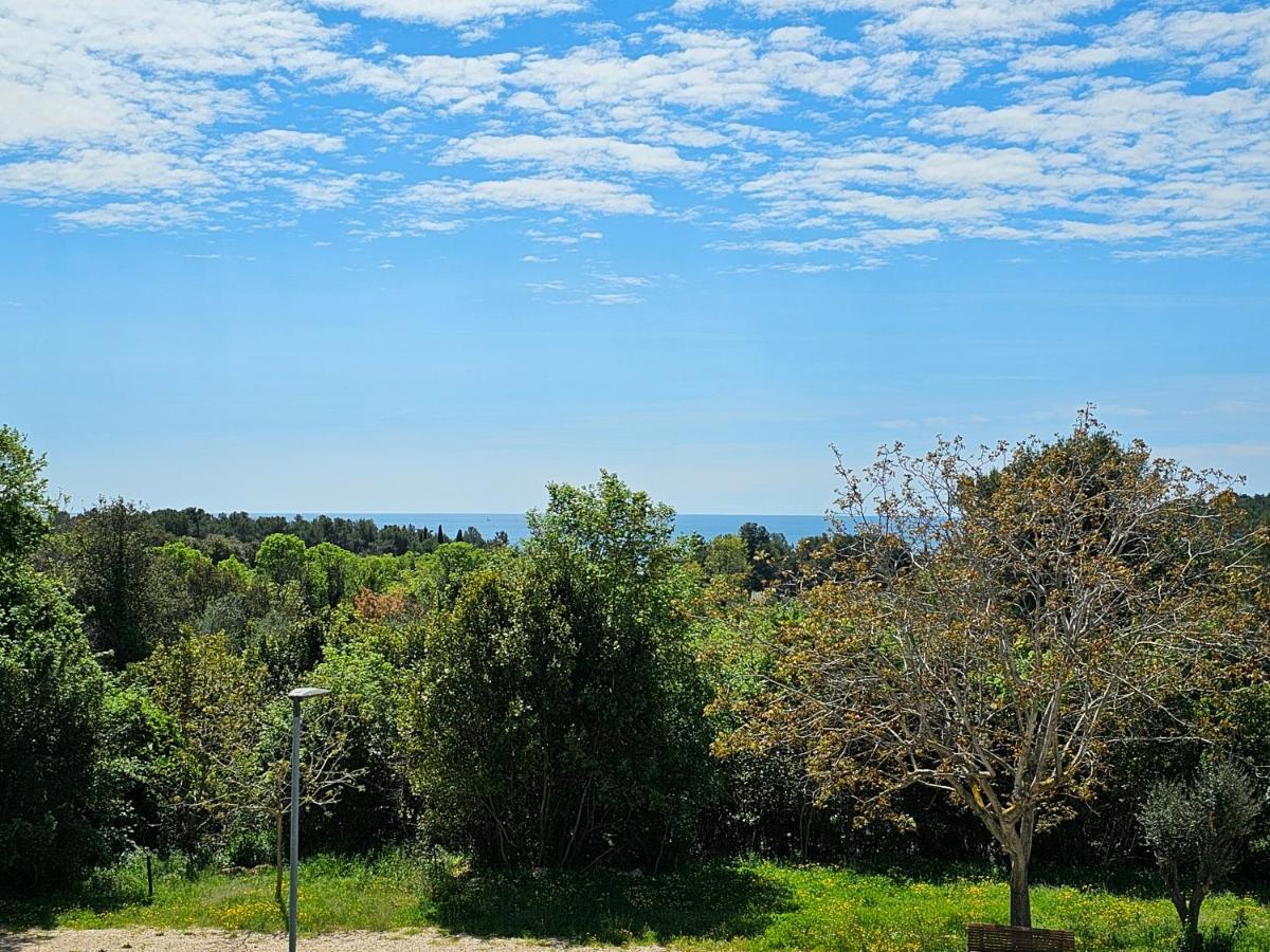 Apartments & Rooms Gaspar Ρόβινι Εξωτερικό φωτογραφία
